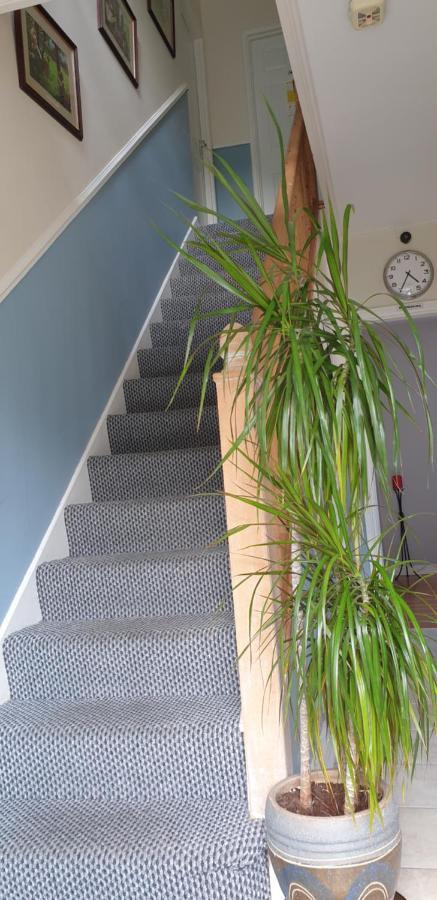 Farnham House Bed & Breakfast Кейвън Екстериор снимка